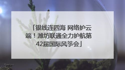 银线连四海 网络护云端！潍坊联通全力护航第42届国际风筝会