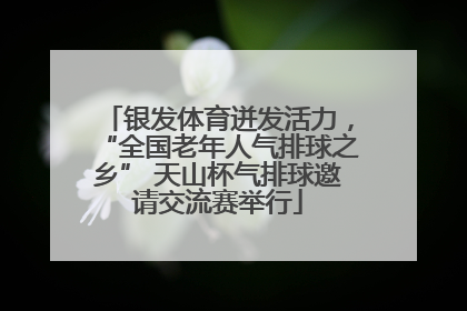 银发体育迸发活力，“全国老年人气排球之乡” 天山杯气排球邀请交流赛举行