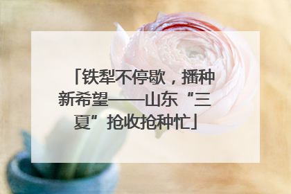 铁犁不停歇，播种新希望——山东“三夏”抢收抢种忙