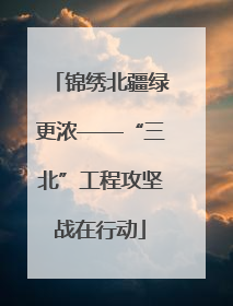 锦绣北疆绿更浓——“三北”工程攻坚战在行动