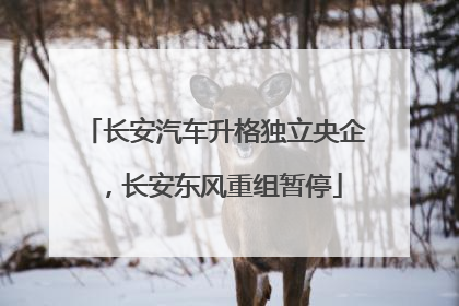 长安汽车升格独立央企，长安东风重组暂停