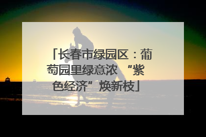 长春市绿园区：葡萄园里绿意浓 “紫色经济”焕新枝