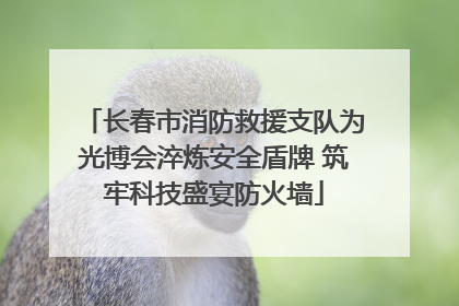 长春市消防救援支队为光博会淬炼安全盾牌 筑牢科技盛宴防火墙