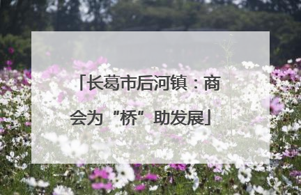 长葛市后河镇：商会为“桥”助发展