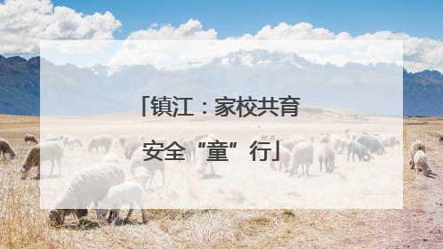 镇江：家校共育 安全“童”行