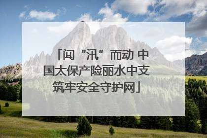 闻“汛”而动 中国太保产险丽水中支筑牢安全守护网