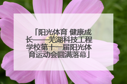 阳光体育 健康成长——芜湖科技工程学校第十一届阳光体育运动会圆满落幕