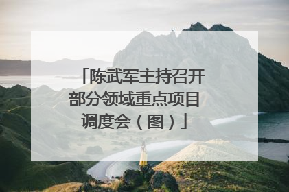 陈武军主持召开部分领域重点项目调度会（图）