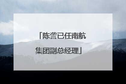 陈詟已任南航集团副总经理