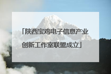 陕西宝鸡电子信息产业创新工作室联盟成立