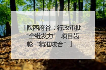 陕西府谷：行政审批“全链发力” 项目齿轮“精准咬合”