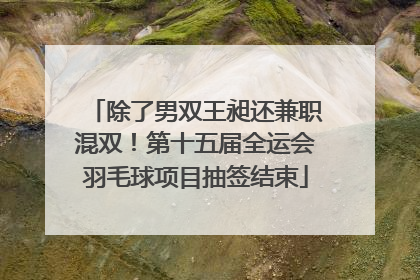 除了男双王昶还兼职混双！第十五届全运会羽毛球项目抽签结束