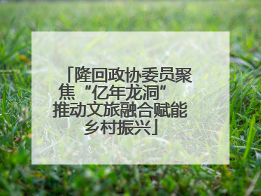 隆回政协委员聚焦“亿年龙洞” 推动文旅融合赋能乡村振兴