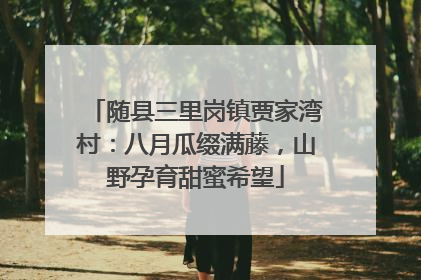 随县三里岗镇贾家湾村：八月瓜缀满藤，山野孕育甜蜜希望