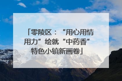 零陵区：“用心用情用力”绘就“中药香”特色小镇新画卷
