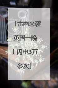 雷雨来袭 英国一晚上闪电3万多次