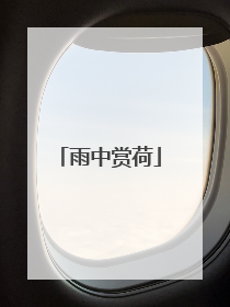 雨中赏荷
