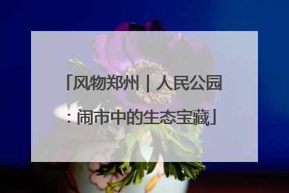风物郑州｜人民公园：闹市中的生态宝藏