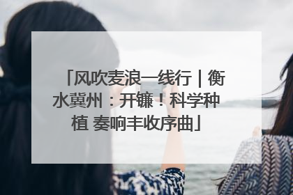 风吹麦浪一线行｜衡水冀州：开镰！科学种植 奏响丰收序曲