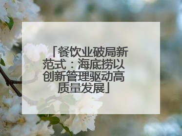 餐饮业破局新范式：海底捞以创新管理驱动高质量发展