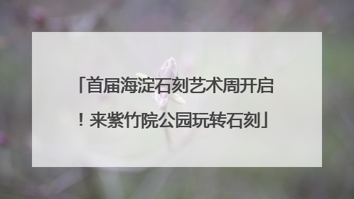 首届海淀石刻艺术周开启！来紫竹院公园玩转石刻