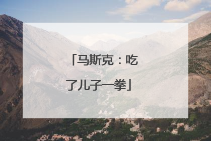 马斯克：吃了儿子一拳