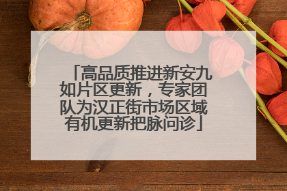 高品质推进新安九如片区更新，专家团队为汉正街市场区域有机更新把脉问诊