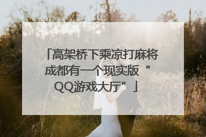 高架桥下乘凉打麻将 成都有一个现实版“QQ游戏大厅”