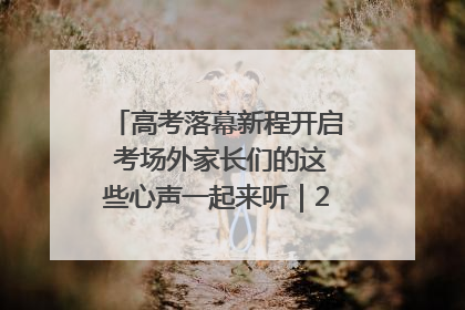 高考落幕新程开启 考场外家长们的这些心声一起来听｜2025四川高考