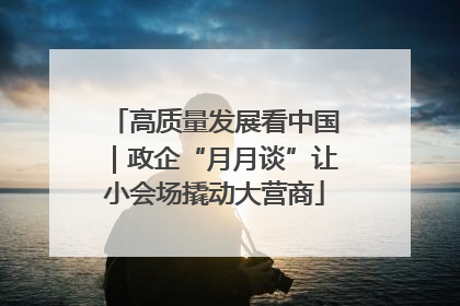 高质量发展看中国｜政企“月月谈”让小会场撬动大营商