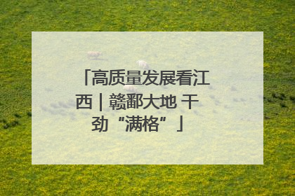 高质量发展看江西｜赣鄱大地 干劲“满格”