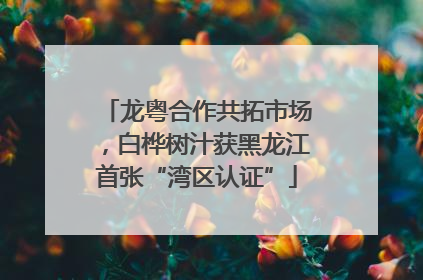 龙粤合作共拓市场，白桦树汁获黑龙江首张“湾区认证”