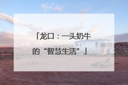 龙口：一头奶牛的“智慧生活”