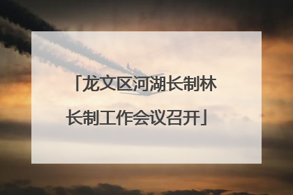 龙文区河湖长制林长制工作会议召开