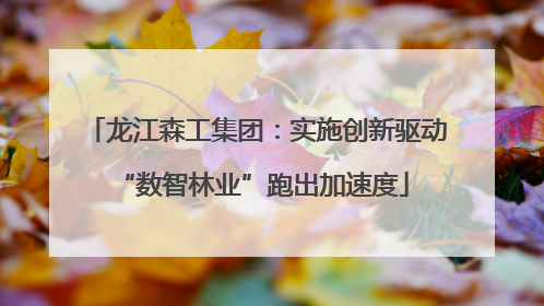 龙江森工集团：实施创新驱动 “数智林业”跑出加速度