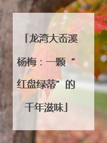 龙湾大岙溪杨梅：一颗“红盘绿蒂”的千年滋味