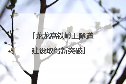龙龙高铁嶂上隧道建设取得新突破