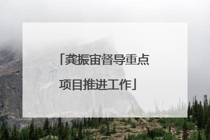 龚振宙督导重点项目推进工作