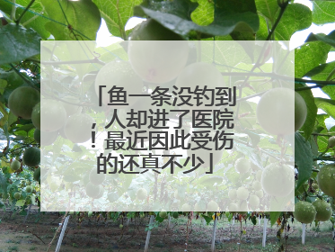 鱼一条没钓到，人却进了医院！最近因此受伤的还真不少