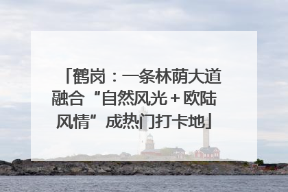鹤岗：一条林荫大道融合“自然风光＋欧陆风情”成热门打卡地