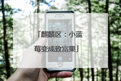 麒麟区：小蓝莓变成致富果