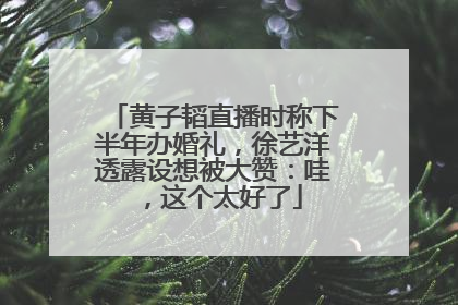 黄子韬直播时称下半年办婚礼，徐艺洋透露设想被大赞：哇，这个太好了