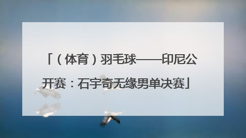 （体育）羽毛球——印尼公开赛：石宇奇无缘男单决赛