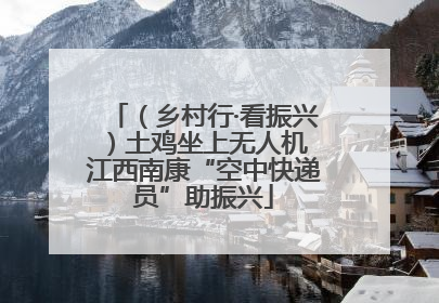 （乡村行·看振兴）土鸡坐上无人机 江西南康“空中快递员”助振兴
