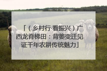 （乡村行·看振兴）广西龙脊梯田：背篓变迁见证千年农耕传统魅力