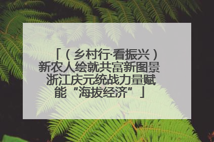 （乡村行·看振兴）新农人绘就共富新图景 浙江庆元统战力量赋能“海拔经济”
