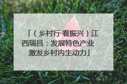（乡村行·看振兴）江西瑞昌：发展特色产业 激发乡村内生动力