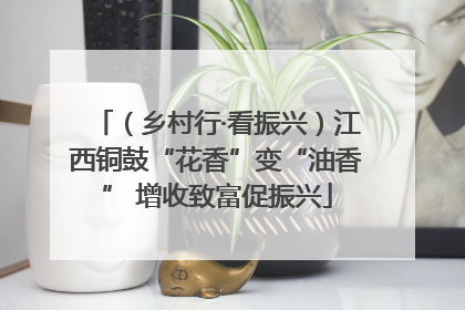 （乡村行·看振兴）江西铜鼓“花香”变“油香” 增收致富促振兴