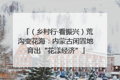 （乡村行·看振兴）荒沟变花海：内蒙古闲置地育出“花漾经济”