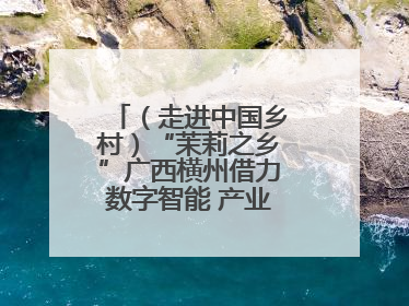 （走进中国乡村）“茉莉之乡”广西横州借力数字智能 产业升级香飘海外
